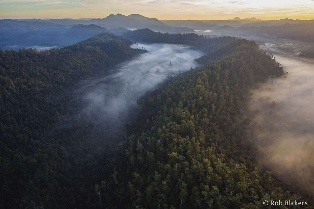 photograph of Huskisson wilderness 3